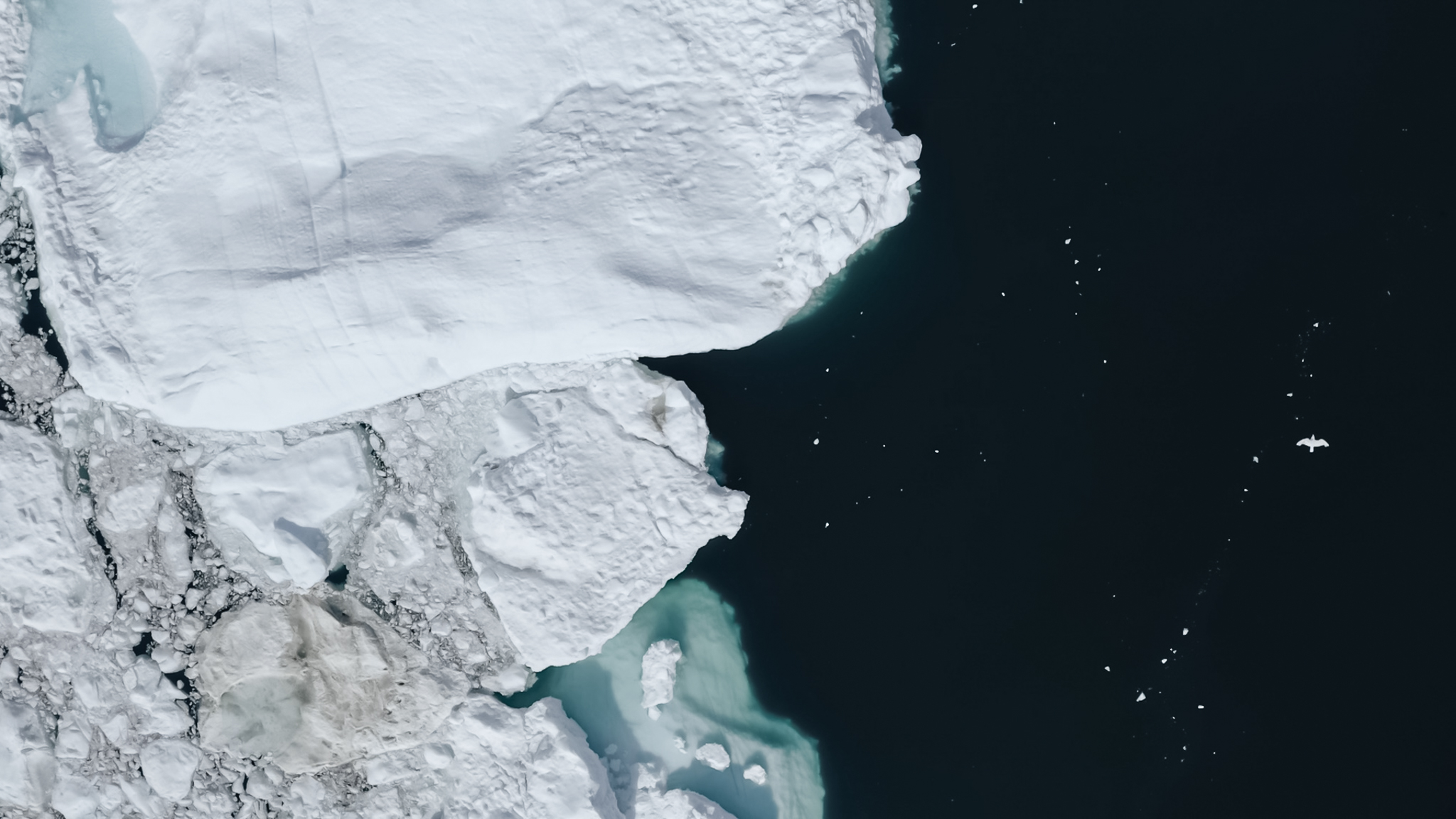 aerial view of the end of ilulissat icefjord melting into the arctic sea, greenland
