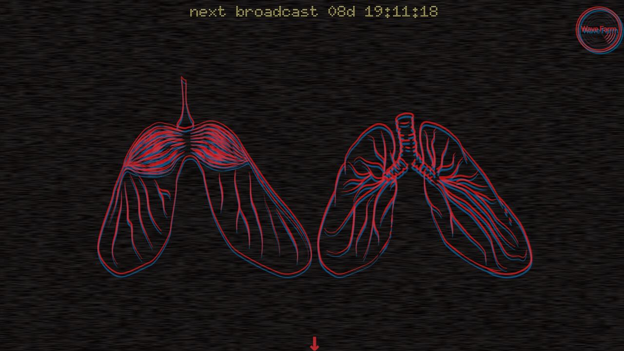 the conduction series transmission art collective website